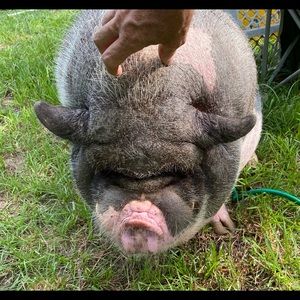 Meet your Posher, Michael